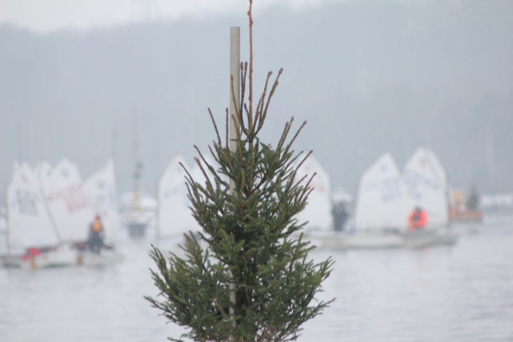 Vis 20101219 105619.jpg i fuld st�rrelse